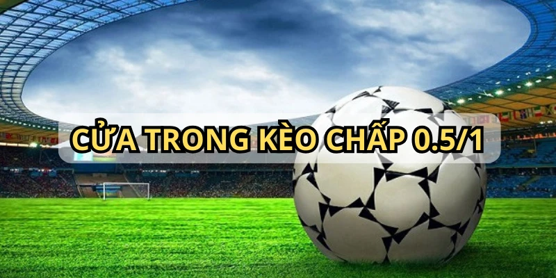 Có 2 cửa cược trong một ván kèo chấp trên nhà cái OK365