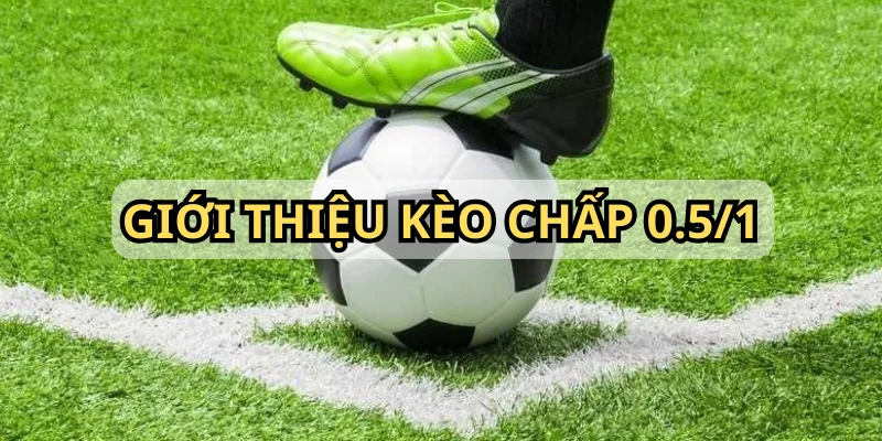 Kèo chấp 0.5/1 là gì được rất nhiều người chơi mới quan tâm