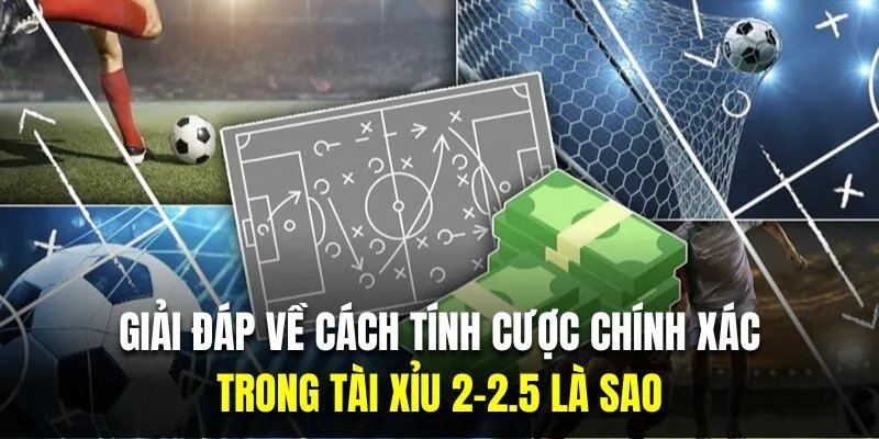 Chia sẻ cách tính cược trong kèo tài xỉu 2-2.5