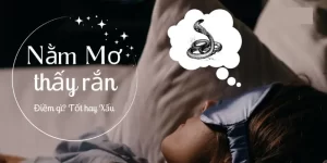 nằm mơ thấy rắn đánh số gì