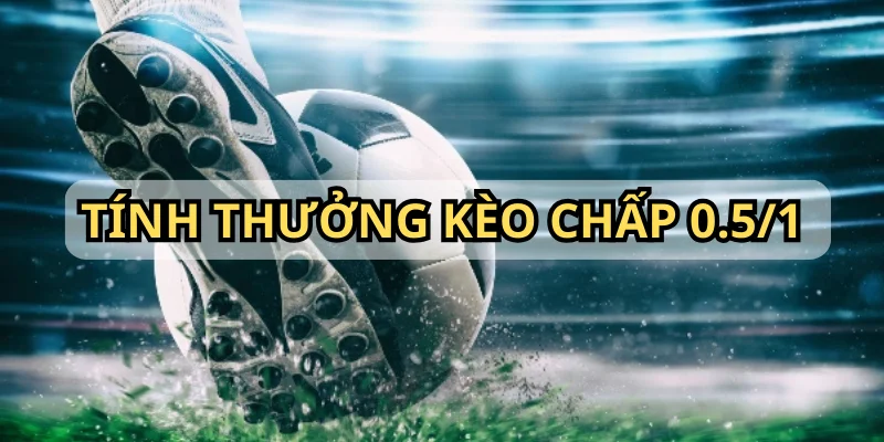 Mức thưởng của người chơi khi tham gia cá cược kèo chấp 0.5/1